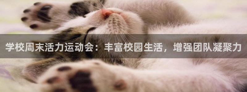 米兰体育官网入口