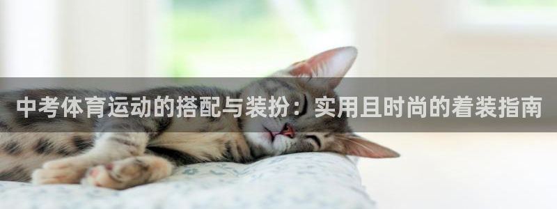 米兰体育在线
