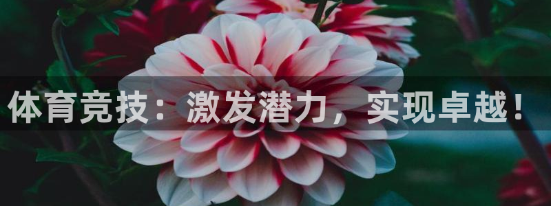 米兰体育下载官网最新版