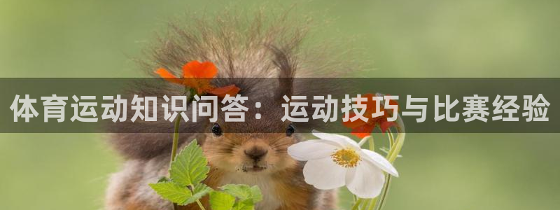 米兰体育最新版下载