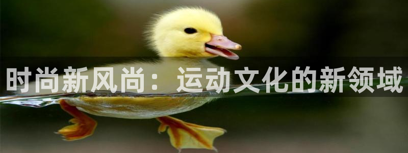 米兰体育网站