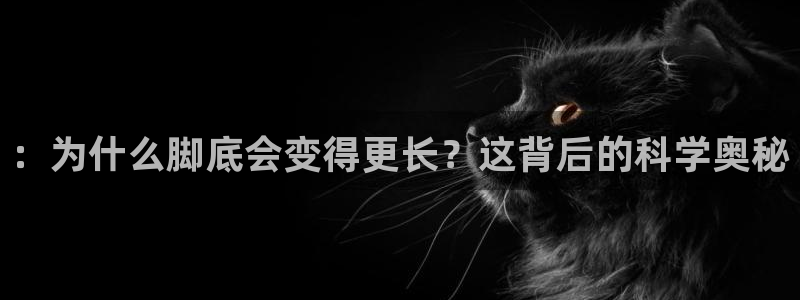 米兰体育网页版登录