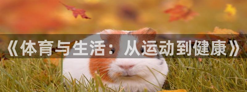 米兰体育靠谱吗