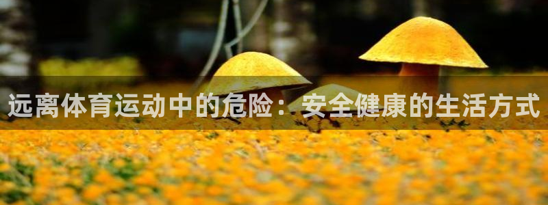 米兰体育最新版下载